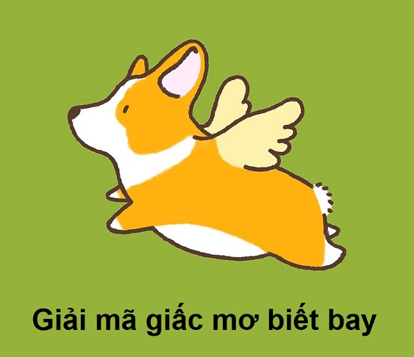 Mơ Thấy Chó Biết Bay