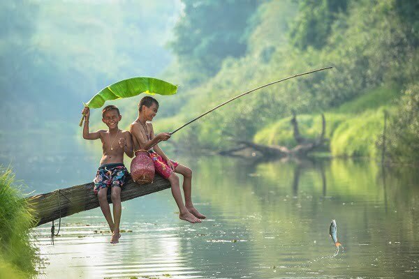 Mơ thấy câu cá lóc đánh con gì?
